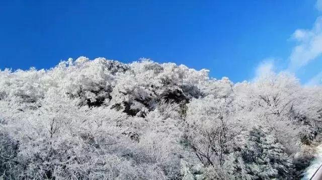 京口启动龙年新春消费促进活动