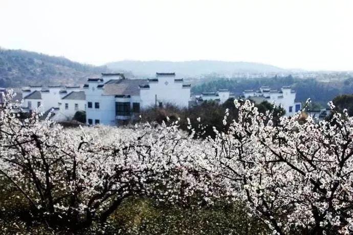 移动的靶心5无敌版