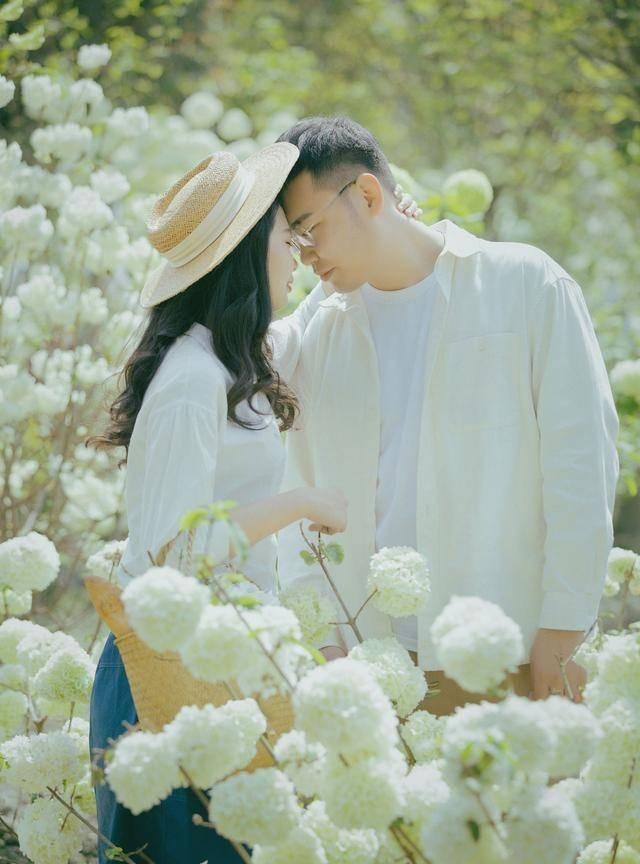 幻想纹章3.1